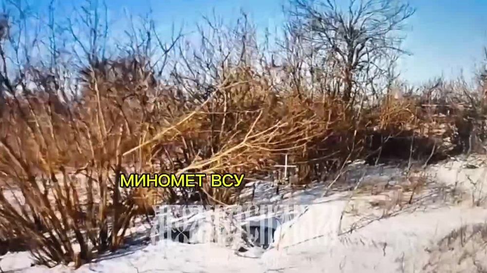 ���� �� �������: ������� �����������. ������ FPV 56-�� ��� ��� ������� ����� �� ����������, ���������� ���������� ����� � ��� ��������