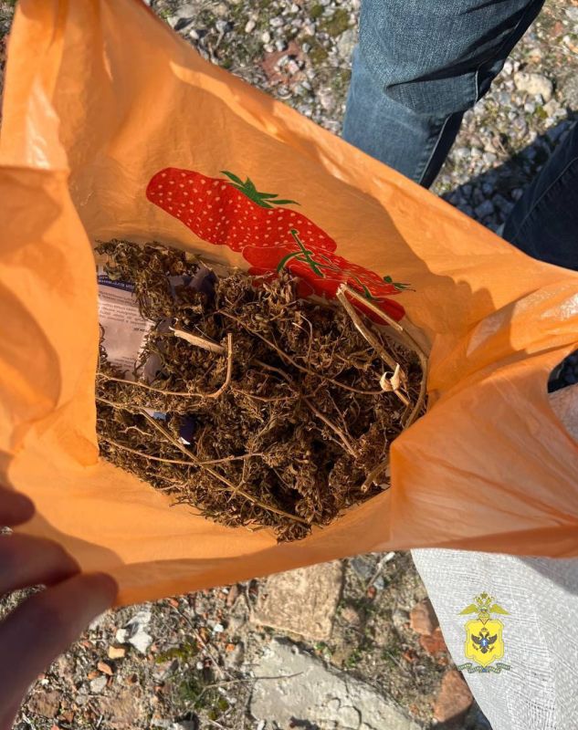 � ���� ������� �������������� ������ � 49-������� ������ ���������� ������� ������ "������-�����"