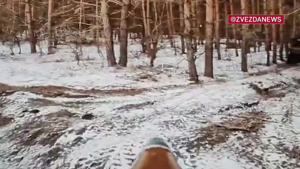 ���� �� �������: ���� ��������� ����� ��������� ����������� ��� �� ������������ ���������