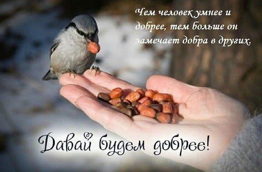 17 ������� � ���� ����������� ���������� �������