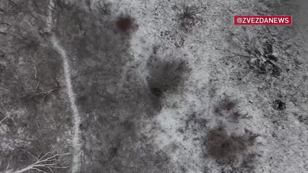 ������ ��������� ������ �� �������� ���������� � ���� ��������� ����� �� �����������