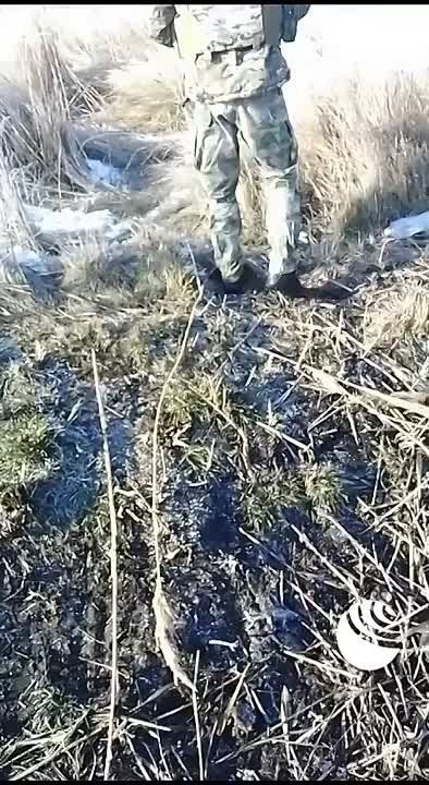 �� ����� ������ ������ ���������� ���������������� ������ ����������� ��� ������� � ������� ���� �������, �������� ��� ������� � ���������� ������� ����������