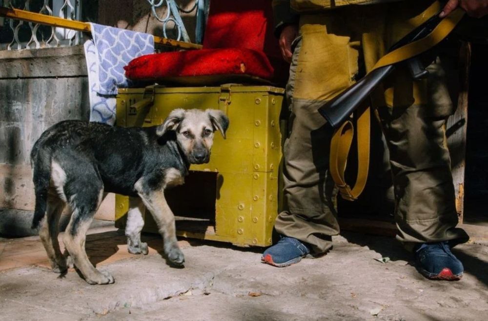 � ����� ���������� ���� ������� � �������������� ����� � �������� �� ������