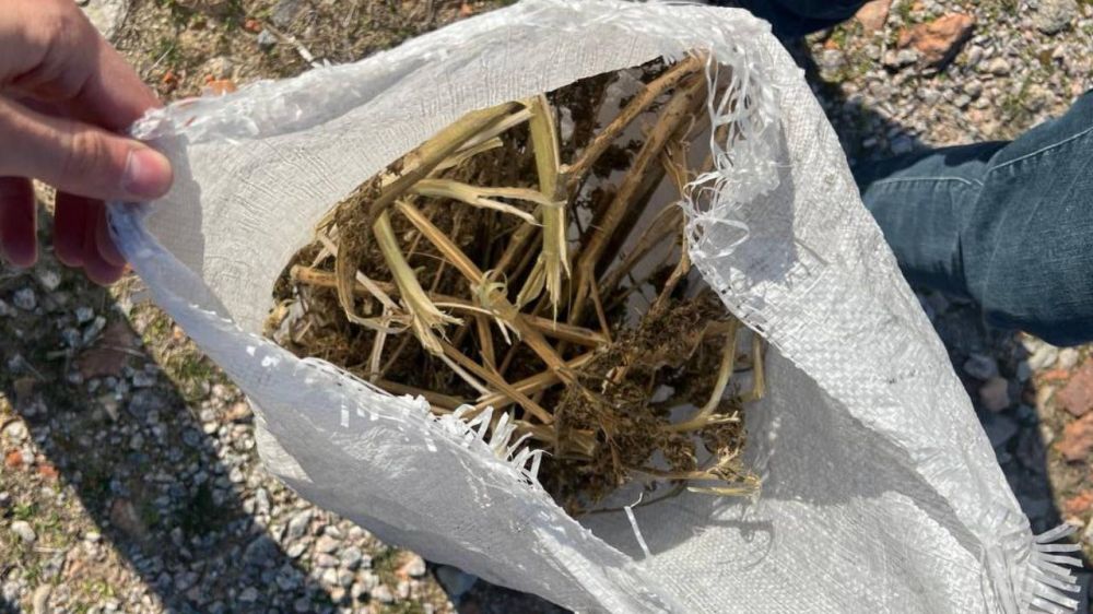 � ������ ���� ������� ���������� ������� ���������� ������� ������ ����� ��������� �������-������