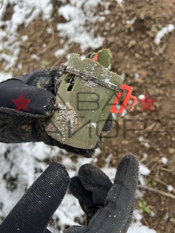 ��� ������: ���������� �����������, ��� �����: