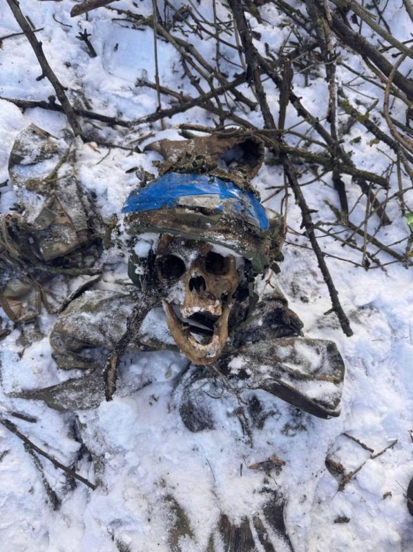 �� �� ������. ��������-����� ���������� �������