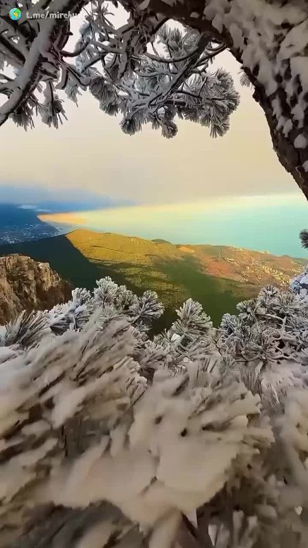 �� ����� ��-����� � ����� ������� ���-������ �ظ��� ���