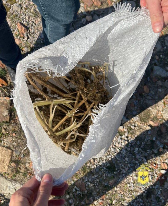 ���������� ������� ��������� ������ ���� ������� � ������������� ������, � �������� ���� ����� ��������� ������������ �������������� �������� ������������� �������������