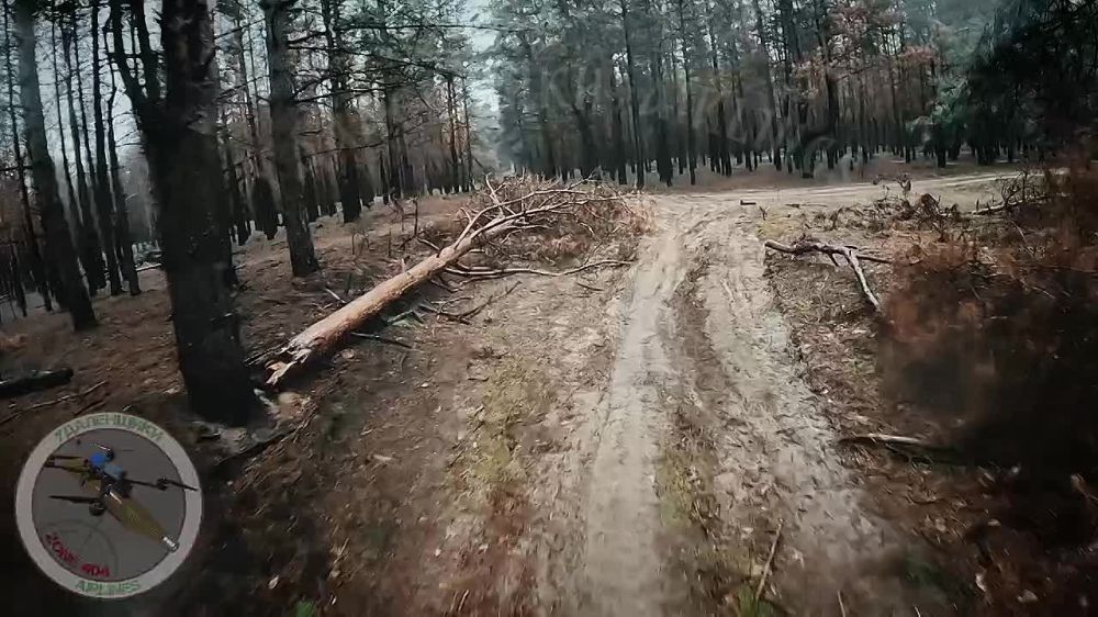 ���������� �����������