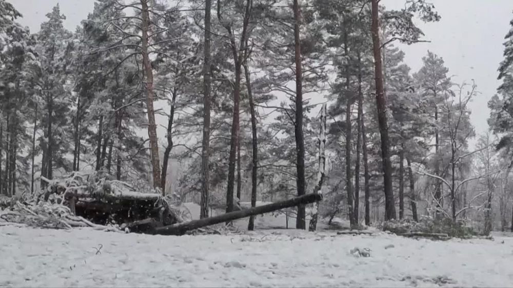 �������������� ������������� ������������� ����� ���������� ������������ ������������ ���������� ���