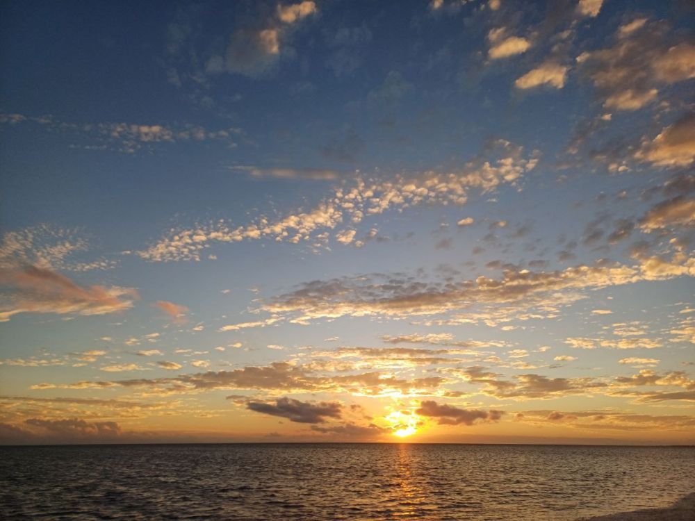 �� ���������� ����������� ���������� ������� � ������ ����������� �������������� ������, ���������� ��� � ������ ������������ �������� �����