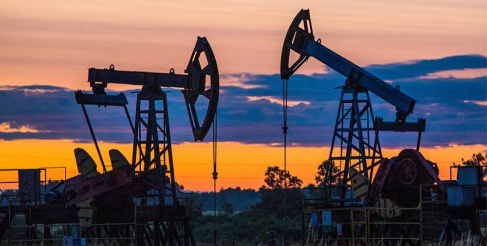 | ���� ������ �������� ������� � ������������ "���������" ������ �������� � �������