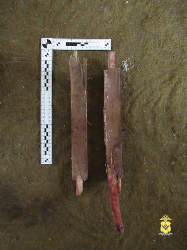 � ��������������� ������ �������� ������������� � ���������� ���������� ������� ����� ��������