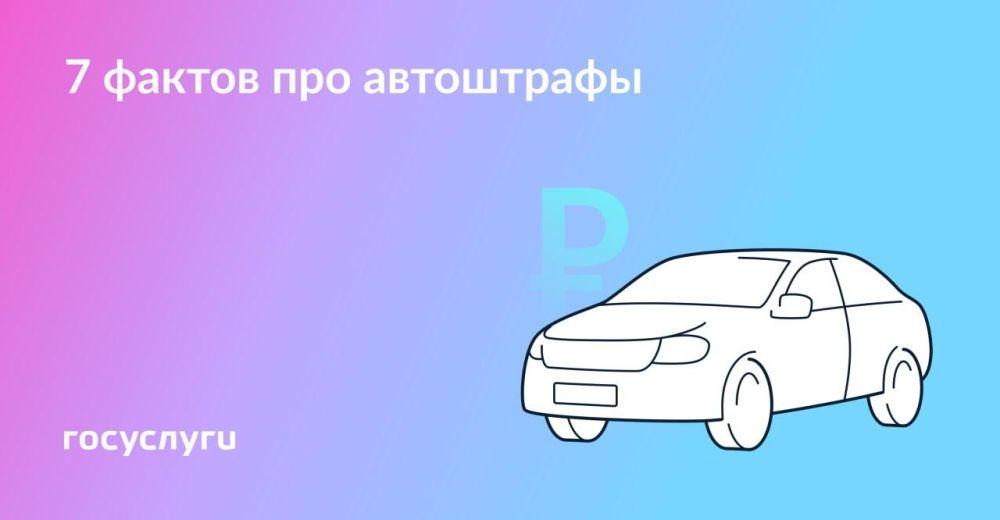 ������, ������ � �����������: ������� ��� ������ �� ��������� ���