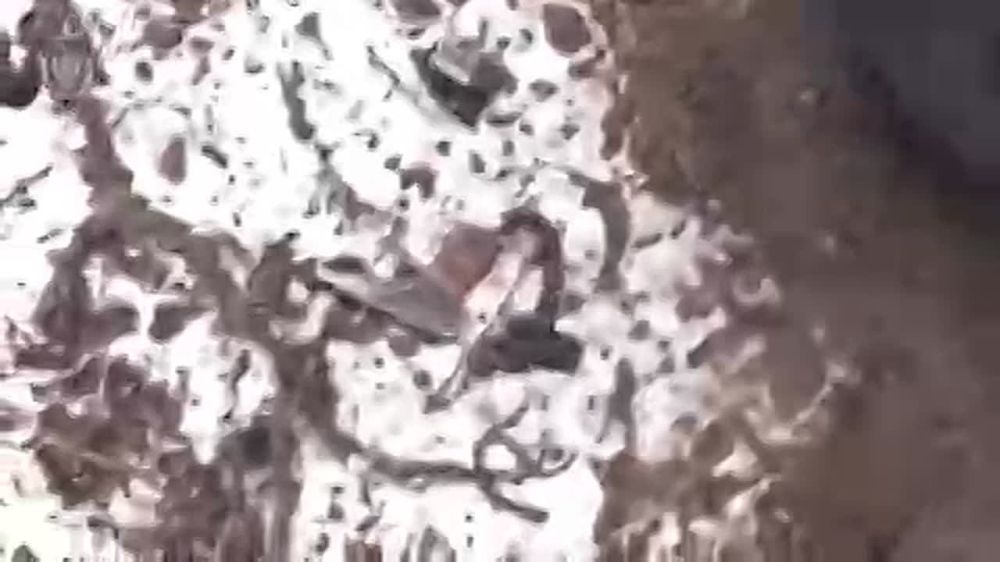 � ��� ��������� ������ �������, ����������� ��� ����� �������� � �� �� � ������ ������� ��� - ������������ ����