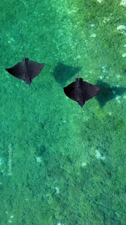 ��� ����� ������. � �����, �����?