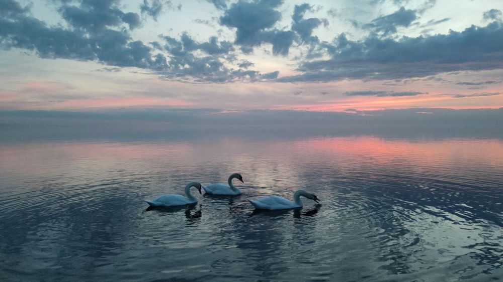 �� ���������� ����������� ���������� ������� � ������ ����������� �������������� ������, ���������� ��� ������ ������������ � ������ ������������ �������� �����