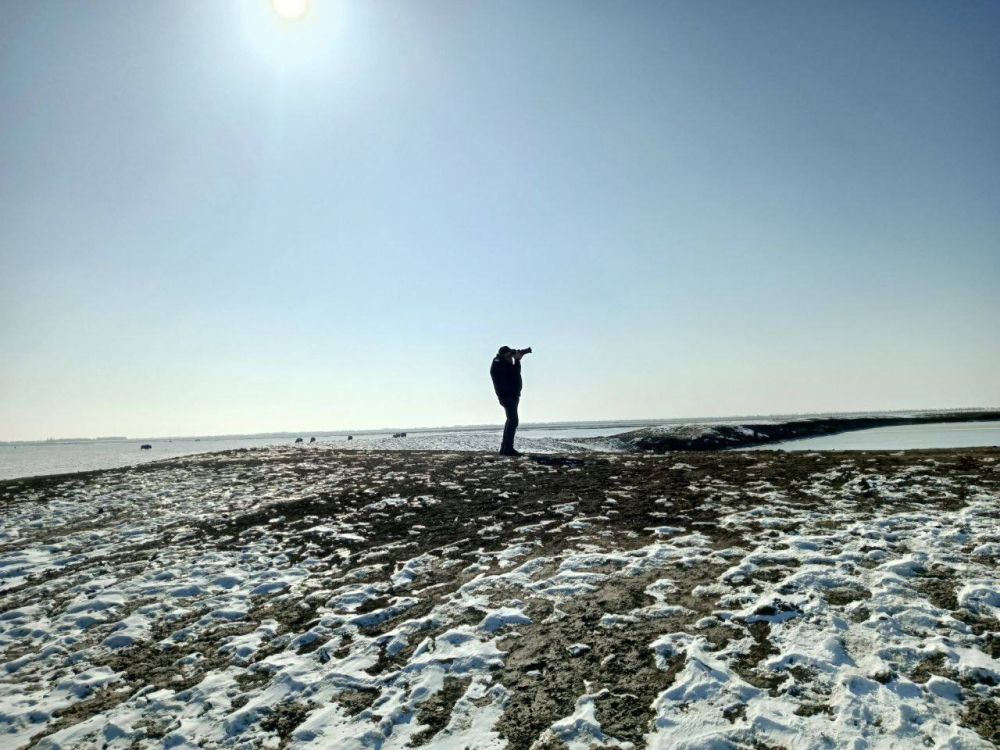 ����� "������� �������� ������" ������������ � ���������� ����������� "�������-����"