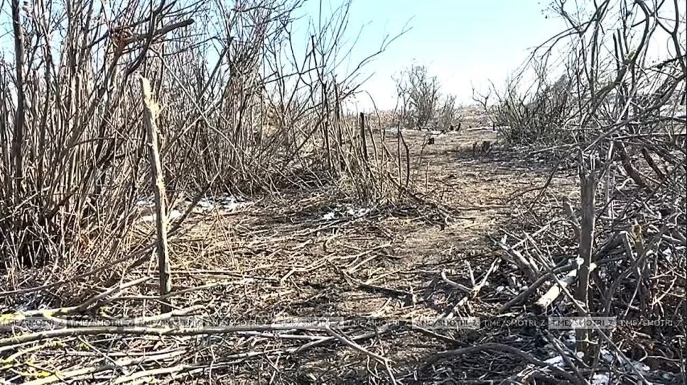 ���������� ����������� ����� ������ � ����������� ������� ������������ ������� ������� ��� � ������� ��������