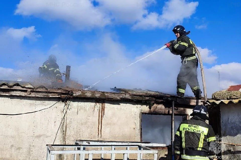 � ���������� ������ �������� �����