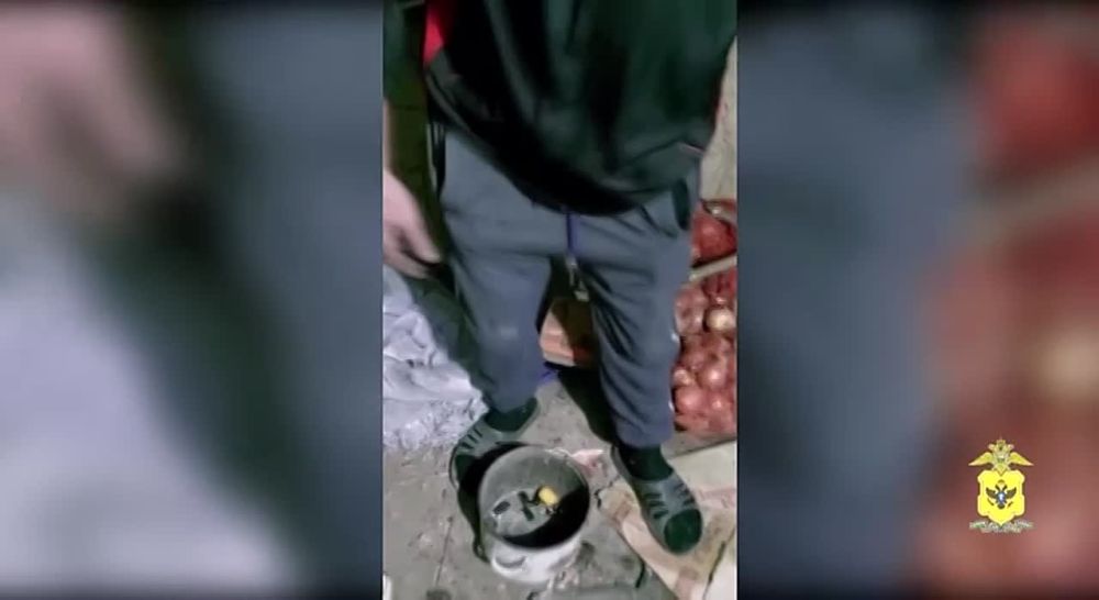 � ���������� ������� ������������ ��������� ���������� ������������� "�����"