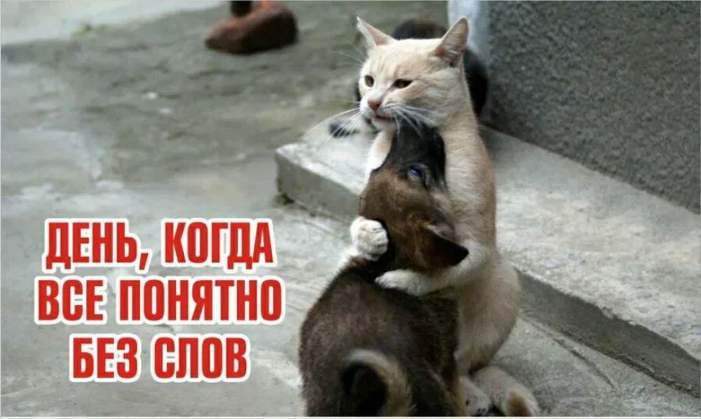 ��������� 18 �������. ���� ������������ ������� ������ ���� ������������ ������ �� �������-���������� ����������� �������� ���� �������������� ����, ����� �� ������� ��� ���� ���� ��������� ���� ���� ������� �...