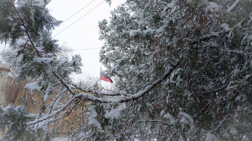 � ������ �����, �����������!