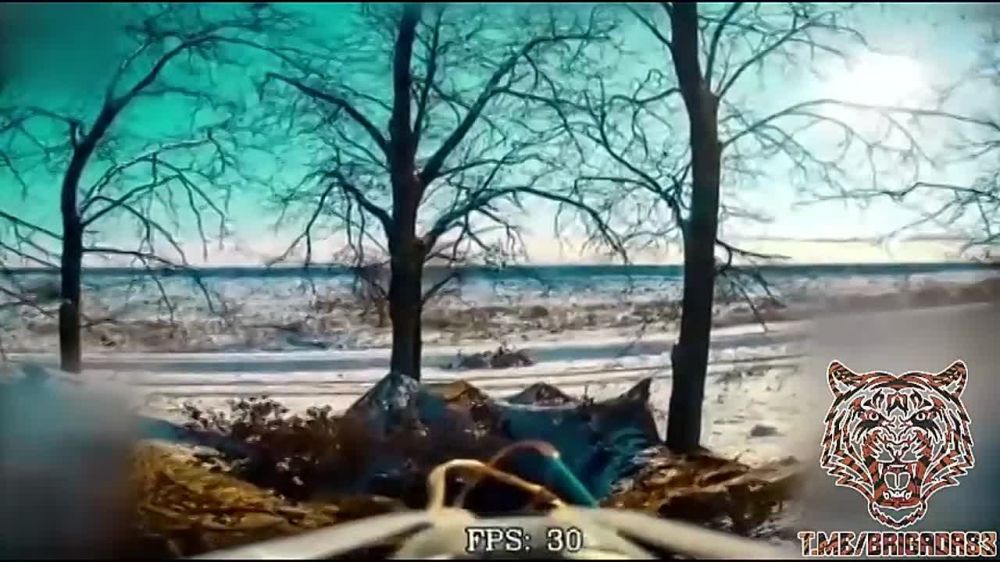 ���� �� �������: ������������ ������ ����� �� ������������� ������� ���� "�����"