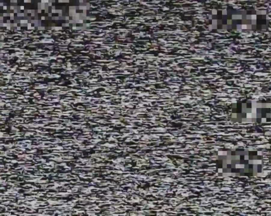 ���������� �����������. ��� �����