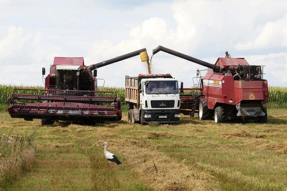 �� ����������� �������� ��� ���������� ������� ������� 500 ��� ������