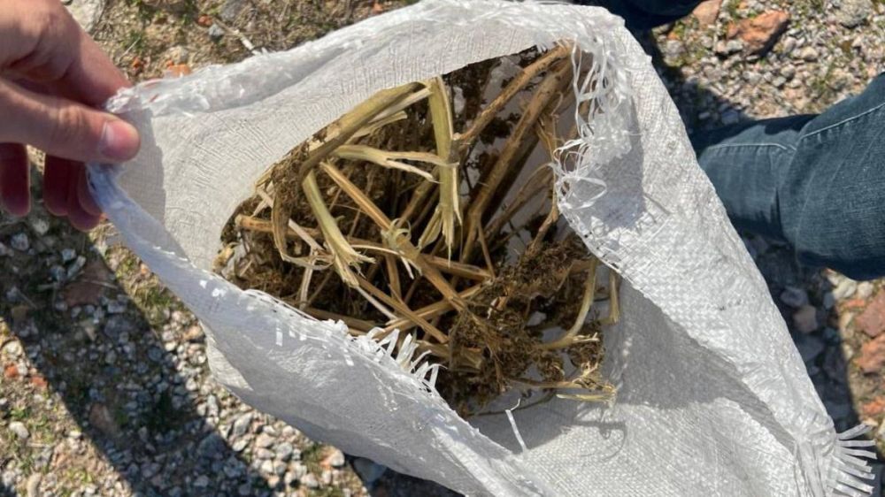 � ������ ���� ������� ���������� ������� ���������� ������� ������ ����� ��������� �������-������