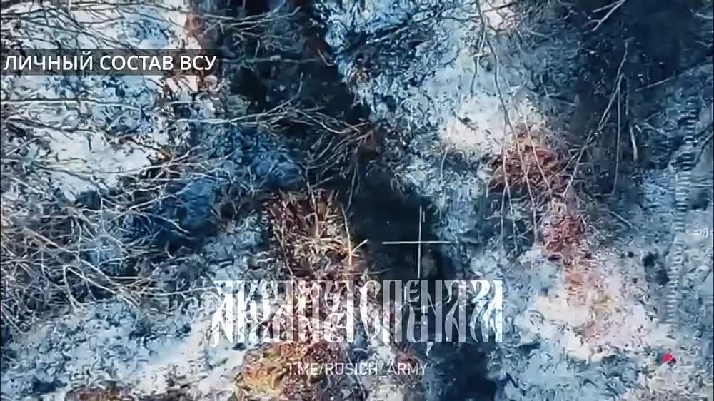 ���� �� �������: ���������� ��� �������� �� ������ ������� � ������ ��� ������