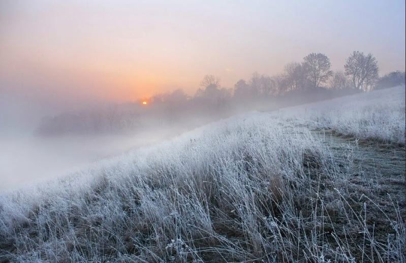 ���������� ������� 18 ������� ������� �����