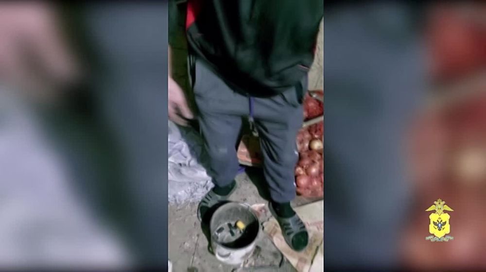 � ���������� ������� �������� 31-������ ������ ���� �������������, ������������� � ��������������� ����������