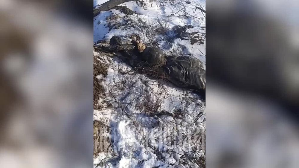 ���� �� �������: ������� �����������, �.�. �����������