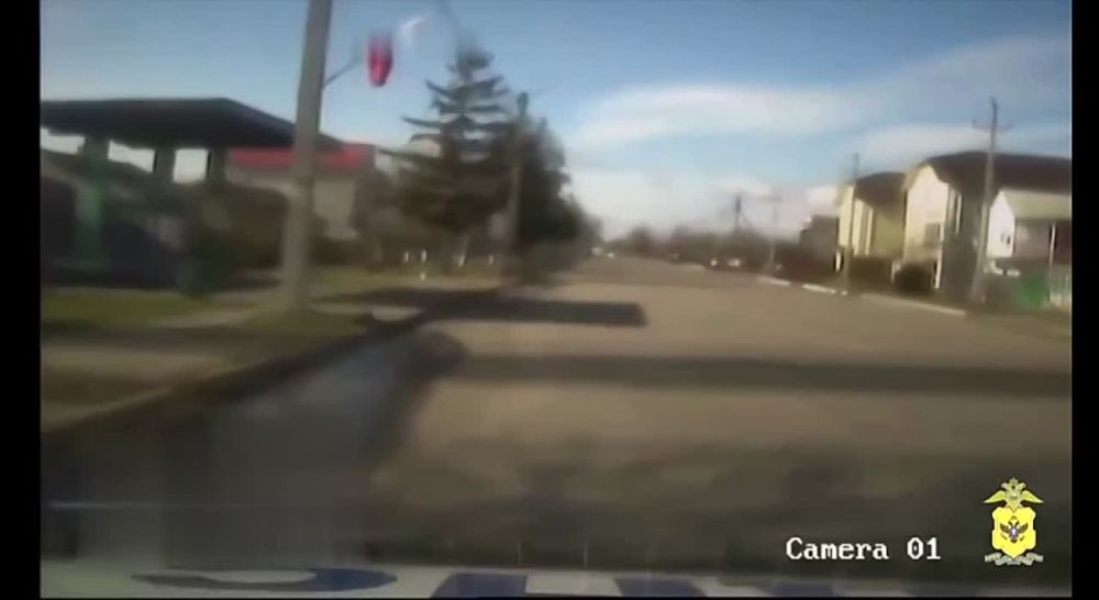 � ���������� ������� ��������� ��������� �������� � ��� ��������, ������������ �����������