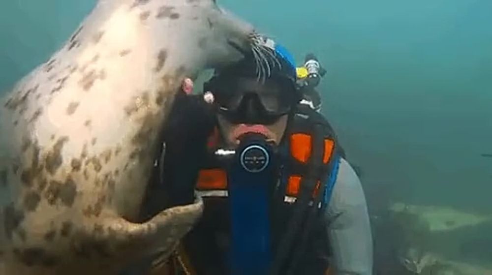 ���������� ��� � ������������� ����������!