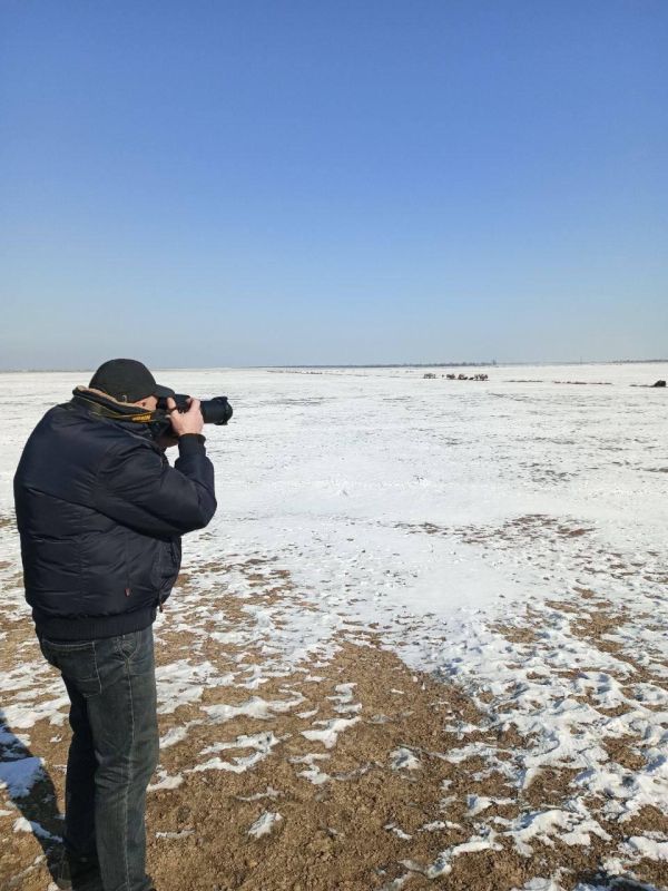 ����� "������� �������� ������" ������������ � ���������� ����������� "�������-����"