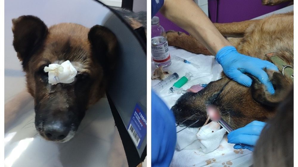 ����� ������ ����� ���������: �������� �������� ���� ��������� ������� ����� �������� � �������