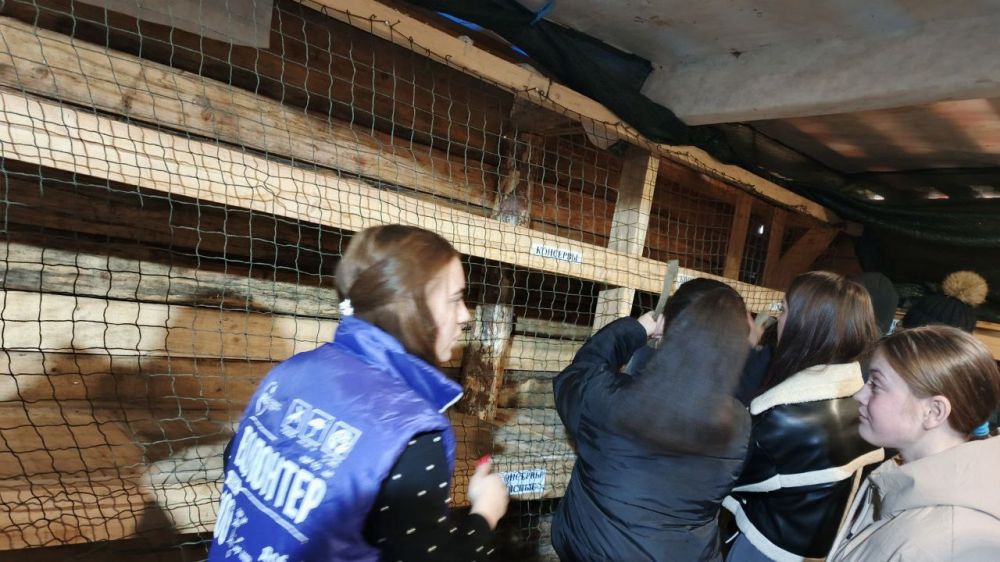 � ������ ������ "���������� ������������ " ������ ������ ����� � �. ������������ �� ������������� ����� #��������