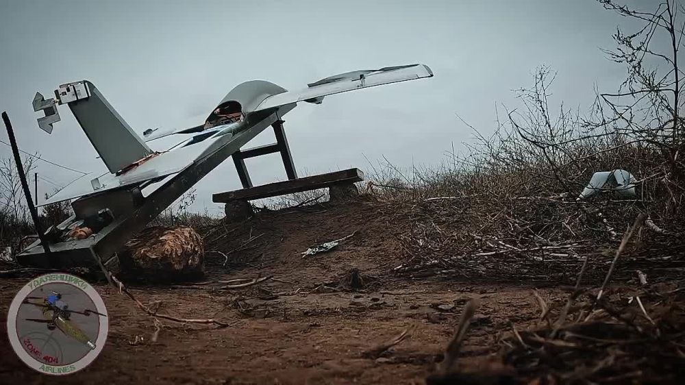 ���� �� �������: ���������� �����������