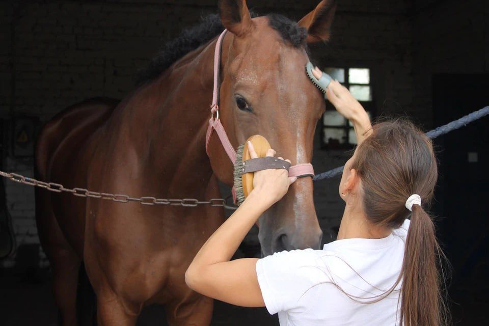 � ������ ����� ��������� ���������� ����� 50 �������