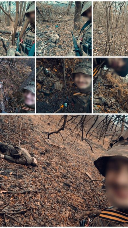 �����. ��������-����� ���������� �������