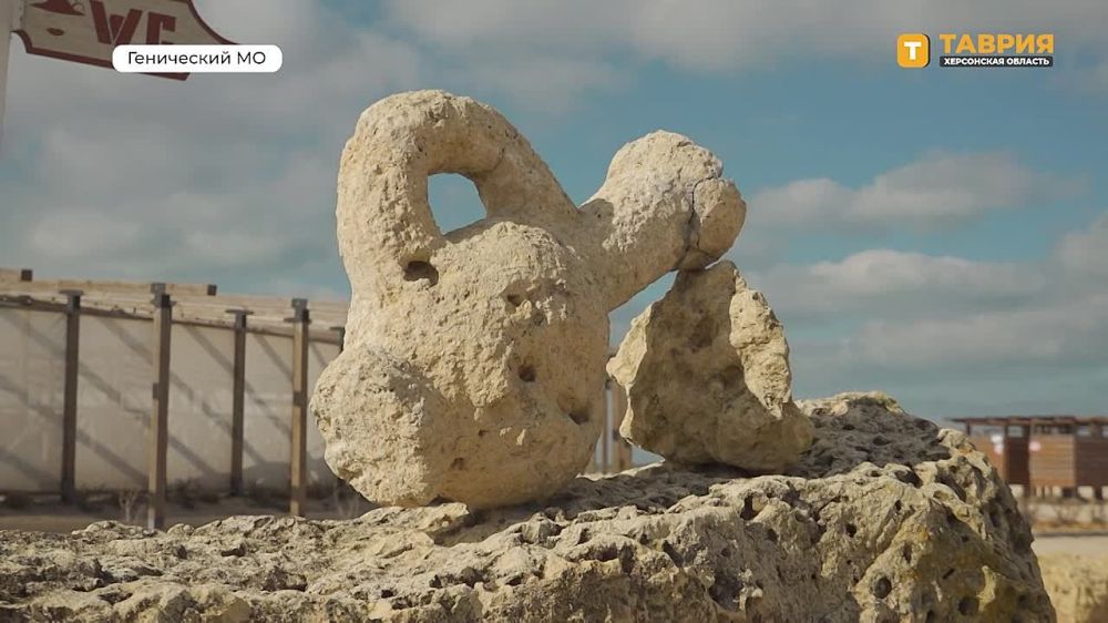 ���������� ��������� � ��� � ������ ������� �������, � �� �����������, � ����-�������� ���������� �������� ���� �����������