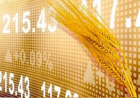 ������ ������ ������ �� �������� �������� ����� �����