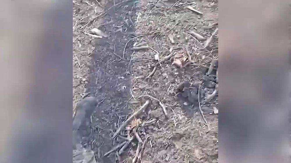 ���� ����������� � ������������ �.�