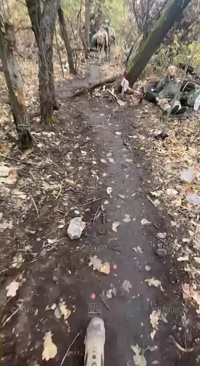 ������� ��������������� ��������� � ���������� � ������� ��� ���������� ��������