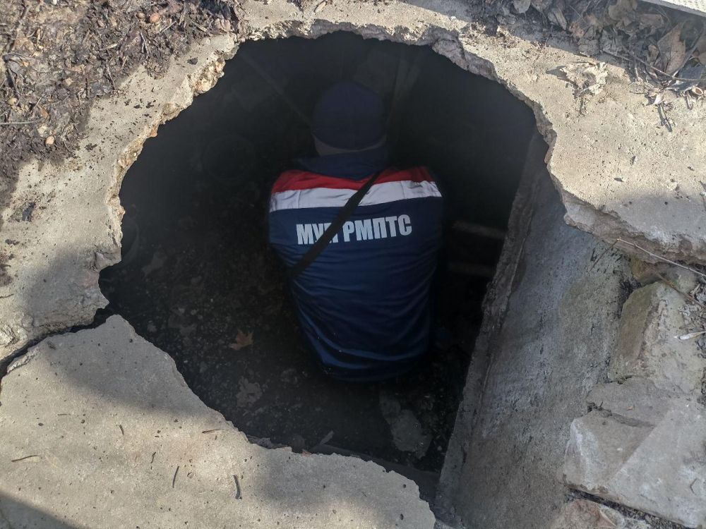 � ���������� �������� �������� ������������ ������ ���������