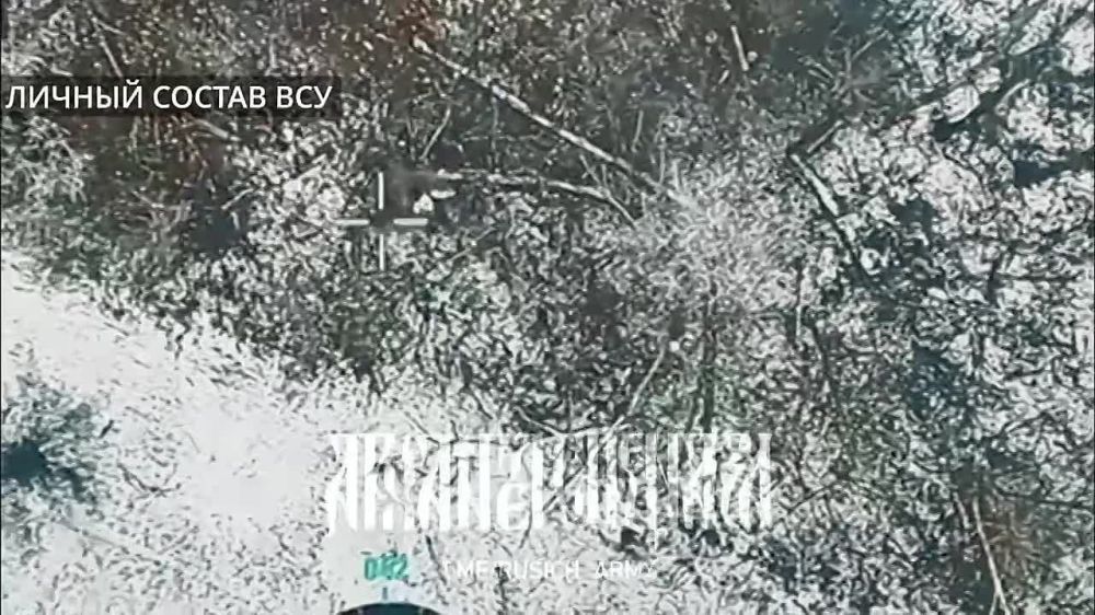 ���� �� �������: ��� ���� ��������� ���� ���, ��� ��� ������� � ���������