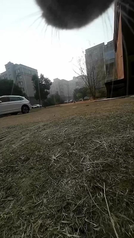 ����� ����������� ����, �������� ������ ����� ���, ��� ��������� ��� �� ��������, ���� ������ GoPro, ������ ���������� �� ������� ��������